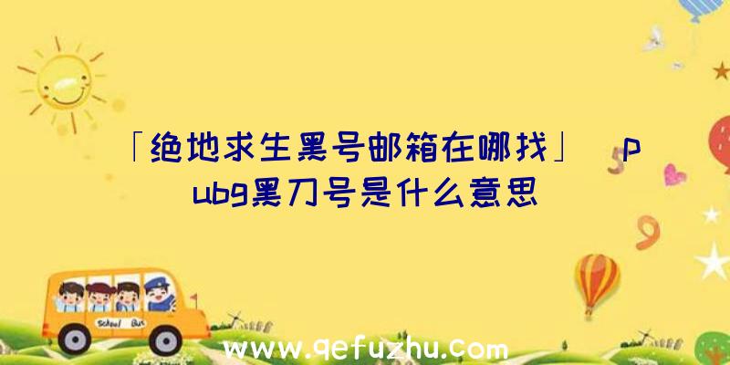 「绝地求生黑号邮箱在哪找」|pubg黑刀号是什么意思